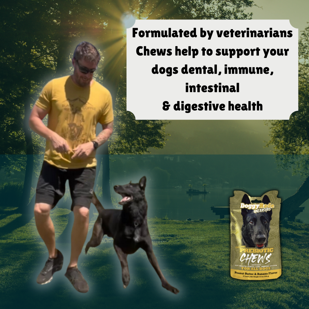 DoggyRade Unleashed Prebiotic Chew - Peanut Butter and Banana