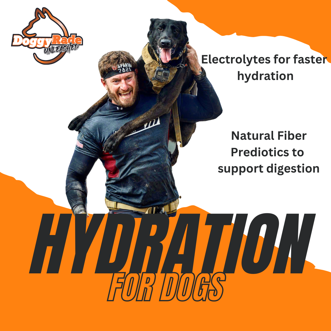 [AMMO CAN BUNDLE]  DoggyRade Unleashed Hydration + Prebiotics/Chicken & Peanut Banana Chews