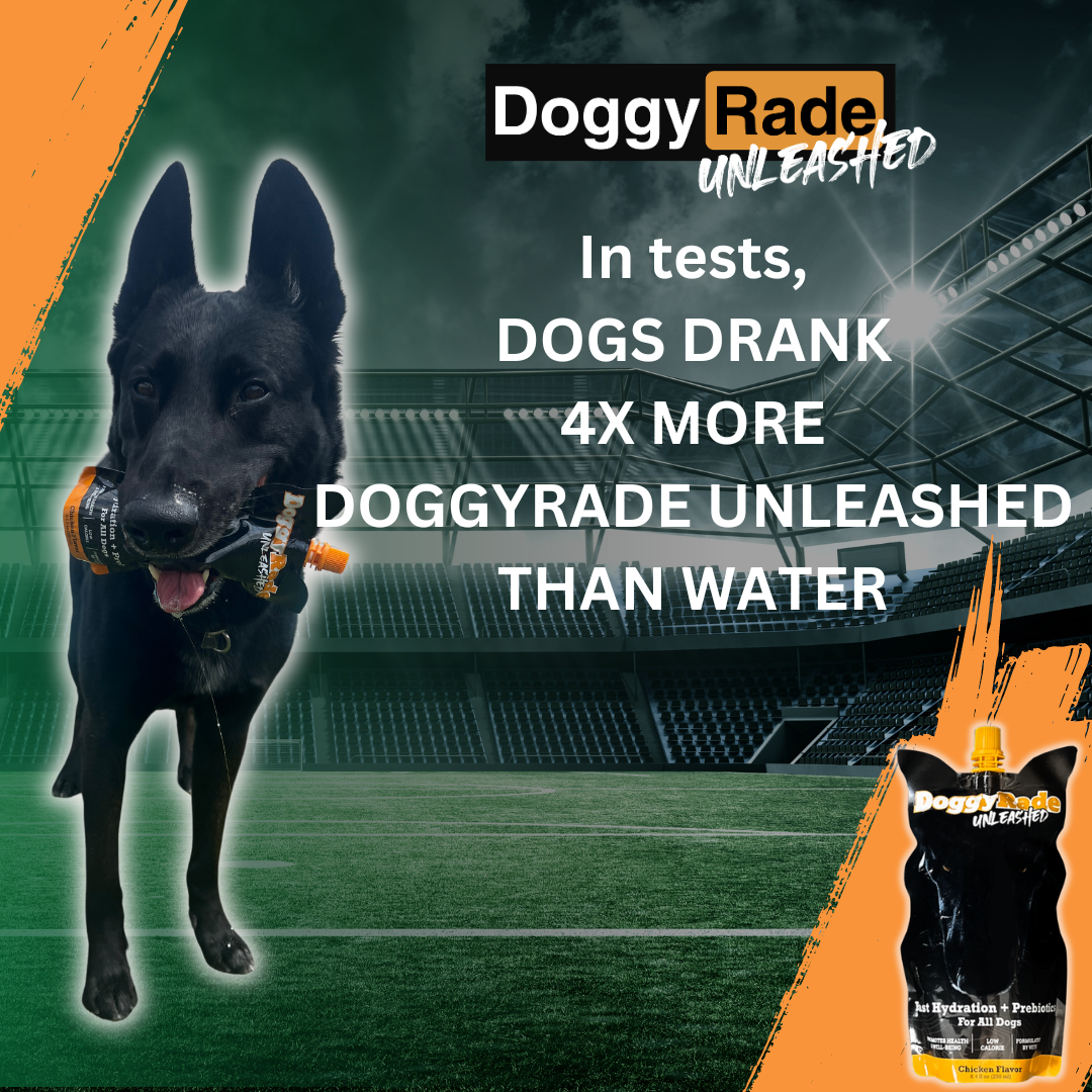 [10 PACK] DoggyRade Unleashed Hydration + Prebiotic Sport Drink for Dogs - Chicken Flavor - 10 x 8.4 fl oz.