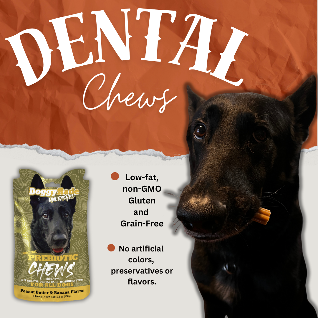 [DRINKS & CHEWS BUNDLE] SAVE BIG!  DoggyRade Unleashed Bundle - Hydration + Prebiotics Sport Drink + Prebiotic Chews