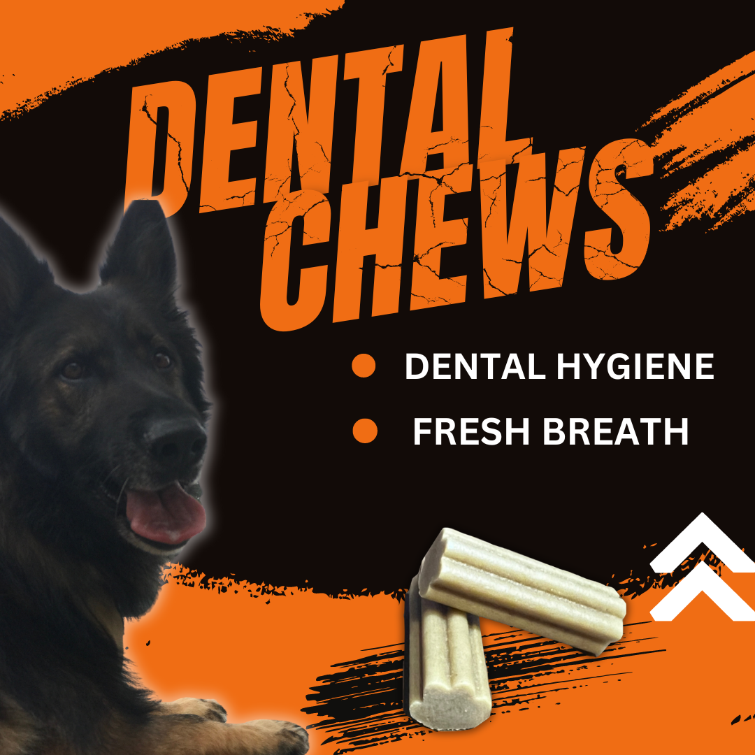 [DRINKS & CHEWS BUNDLE] SAVE BIG!  DoggyRade Unleashed Bundle - Hydration + Prebiotics Sport Drink + Prebiotic Chews