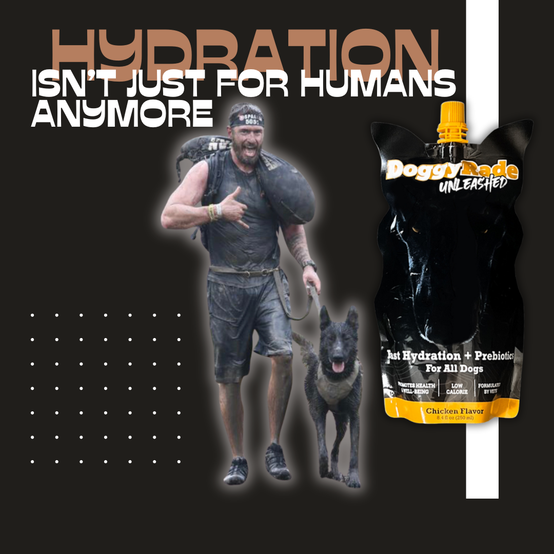 [SURVIVAL AMMO CAN BUNDLE] DoggyRade Unleashed Hydration + Prebiotic Sport Drink, Chews and Training Treats